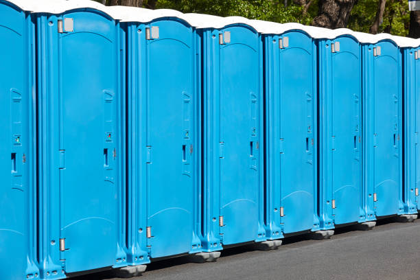 Best Portable Restroom Removal and Pickup  in Runge, TX